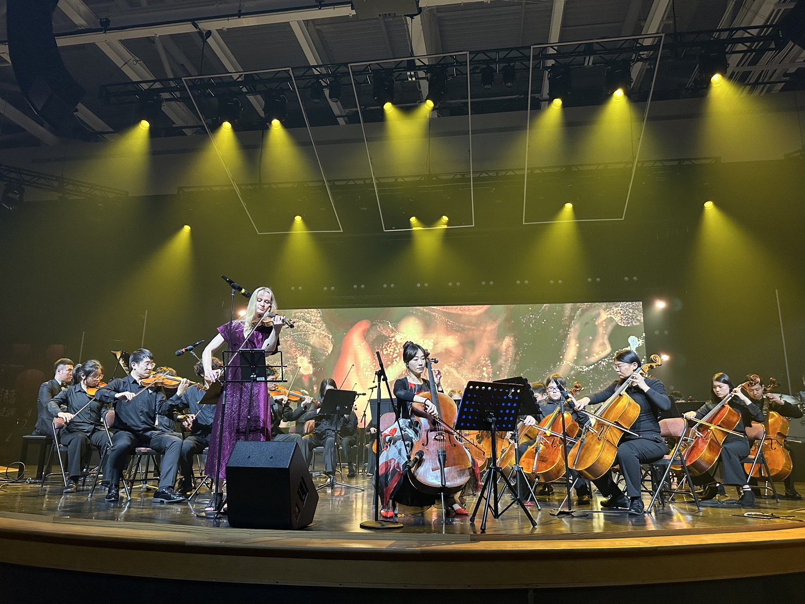 Orchestra Performance